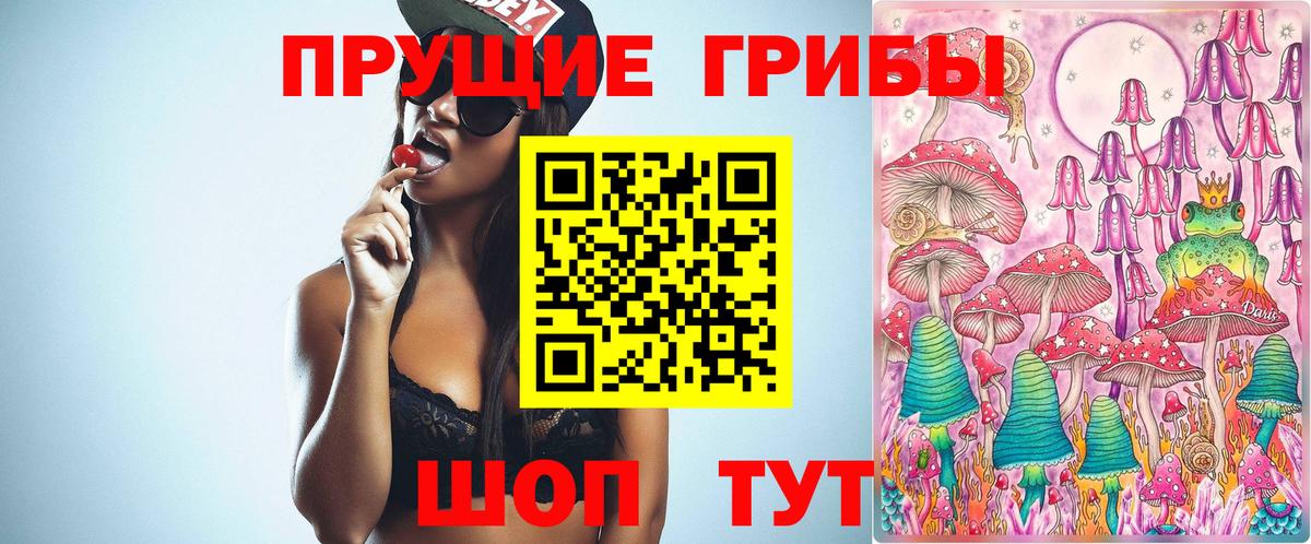 Галлюциногенные грибы Cubensis Арзамас