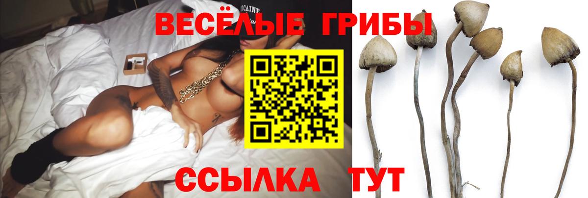 Псилоцибиновые грибы ЛСД  Вход с VPN  Арзамас 